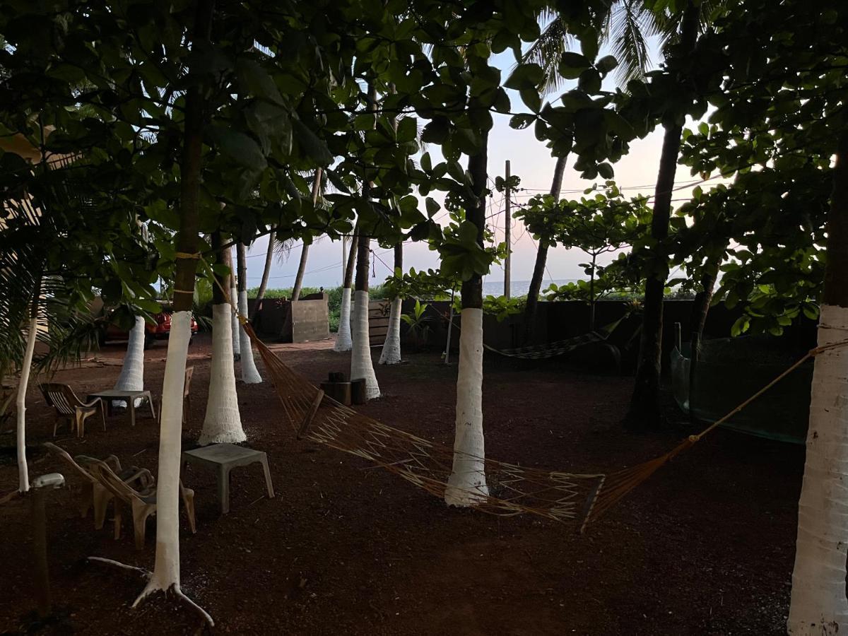 Kizhunna Rock Beach House كانور المظهر الخارجي الصورة